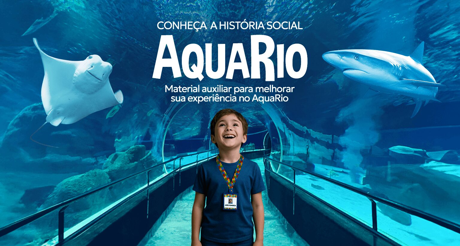 Versão Reduzida       Versão Completa