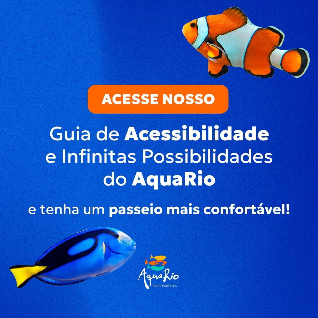 imagem_2026-02-24_161814899